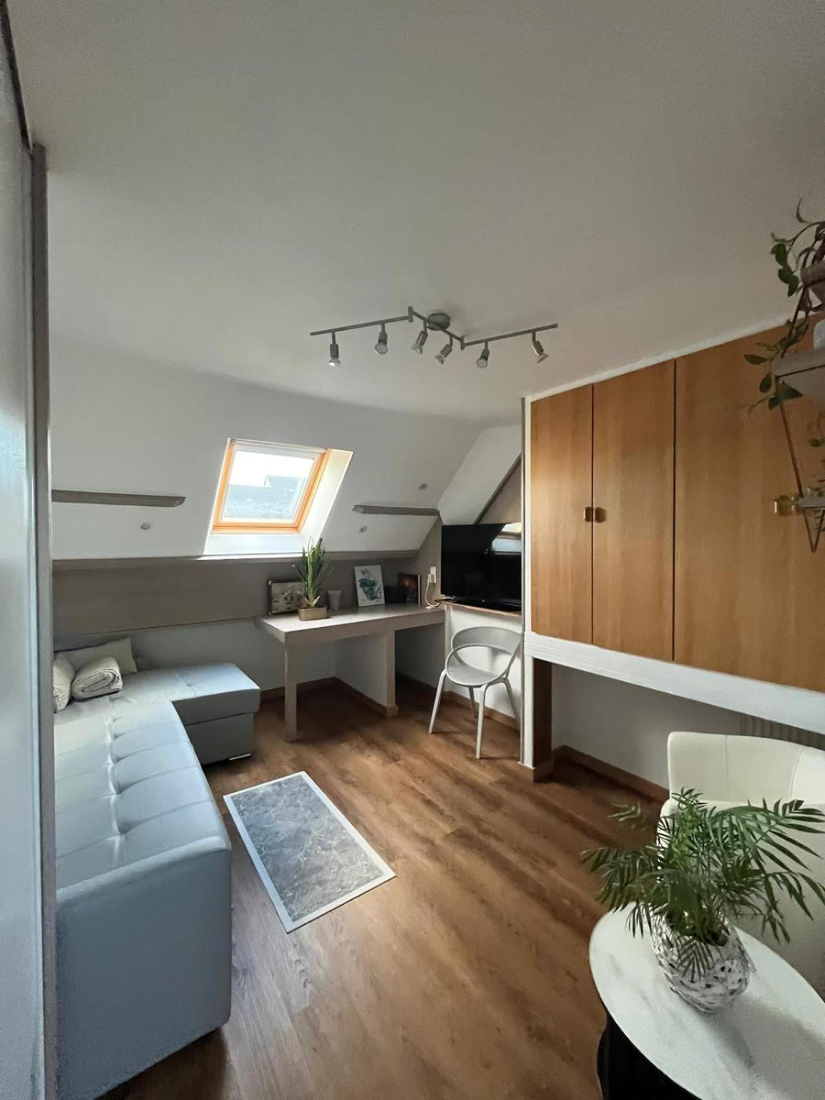 שרבורג Appartement Type Loft Avec Terrasse מראה חיצוני תמונה